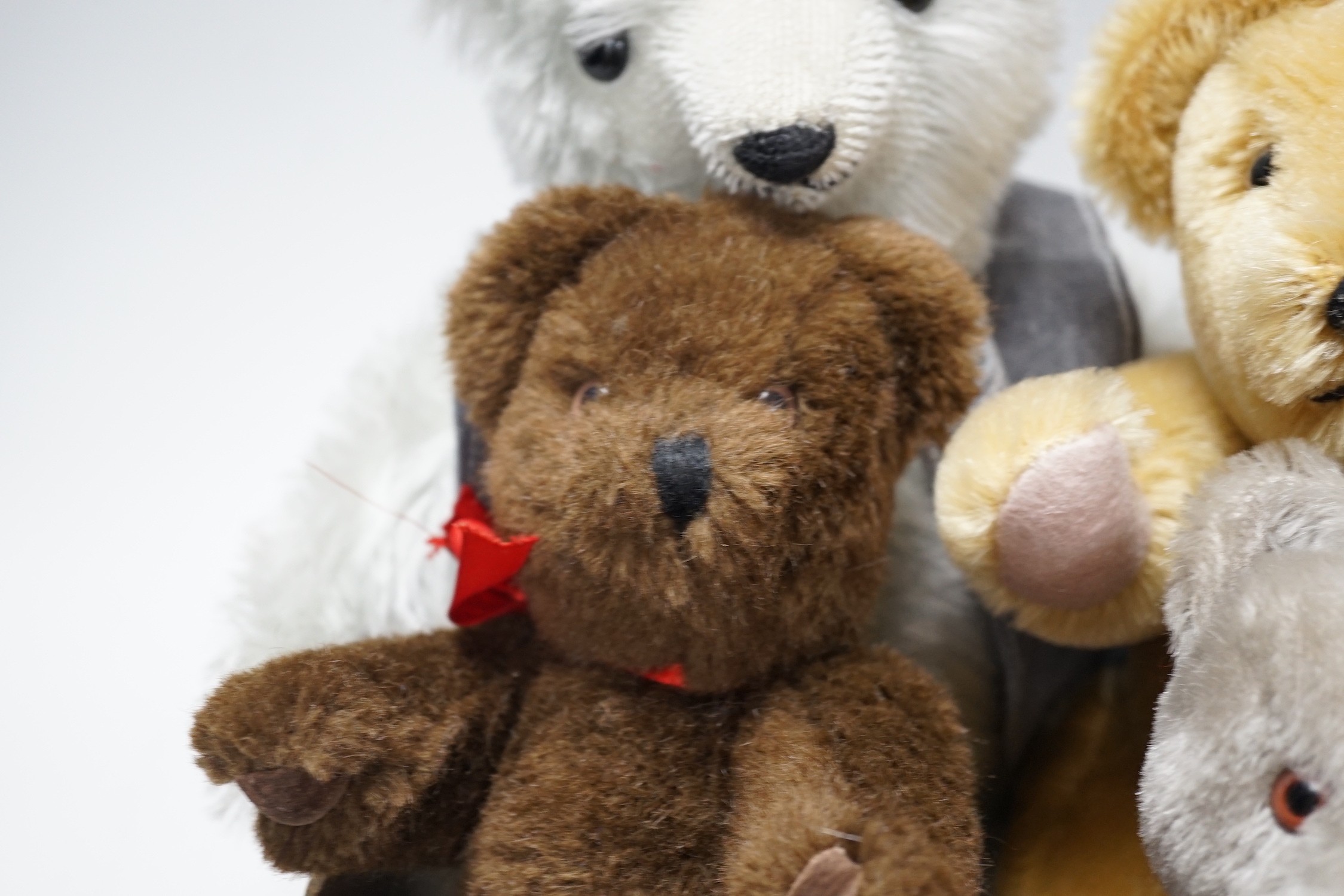 Three Steiff Berlin teddy bears and other teddy bears